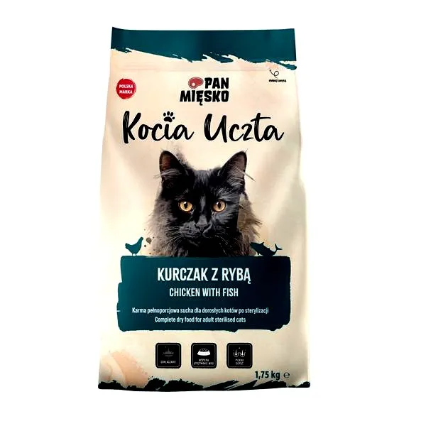 Czy kocia karma może być niebezpieczna dla psa? Sprawdź, co warto wiedzieć!