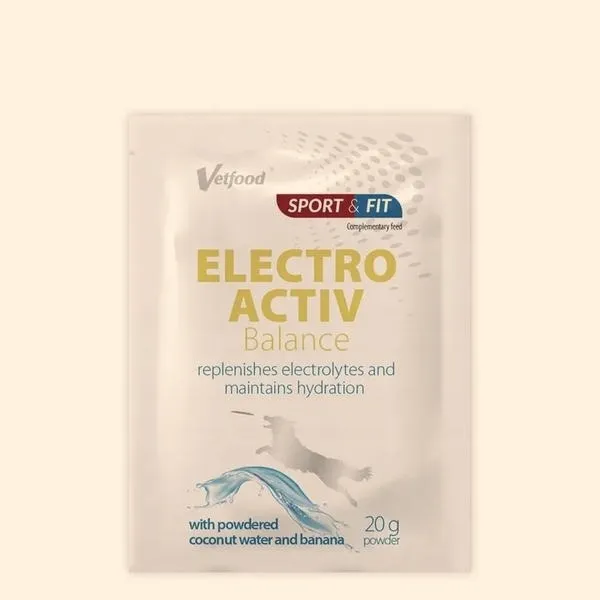 Czy można podać psu elektrolity, aby poprawić jego samopoczucie?