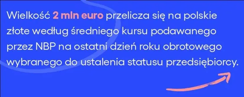 Czy spółka z o.o. może być mikroprzedsiębiorcą? Kluczowe informacje dla przedsiębiorców