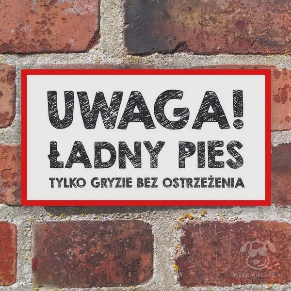 Dlaczego pies podgryza podczas zabawy? Odkrywamy tajemnice jego zachowania!