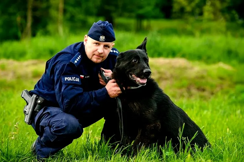 Ile zarabia policjant z psem? Odkrywamy tajemnice pensji w służbach mundurowych