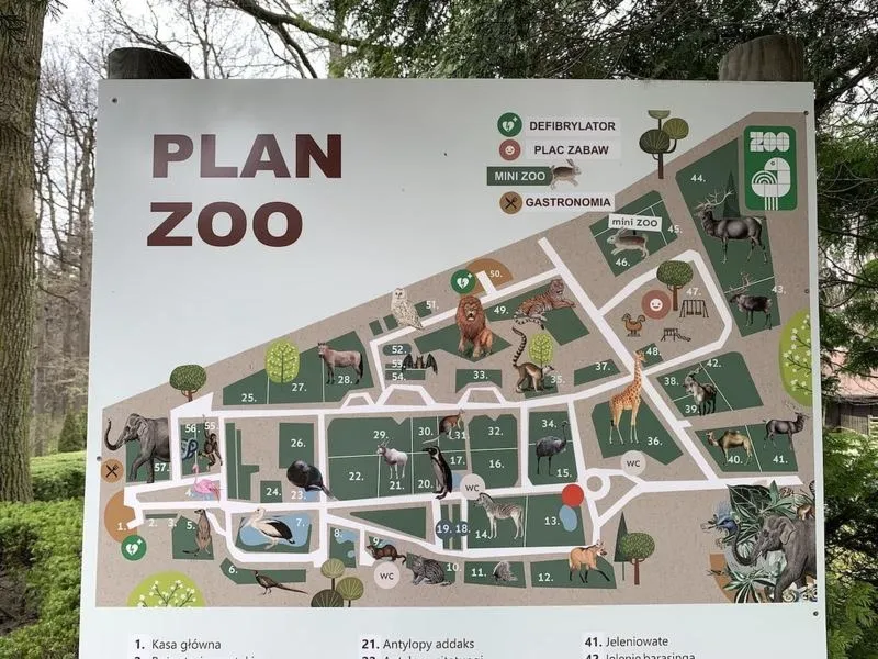 Jak łatwo dotrzeć z dworca głównego w Krakowie do zoo?