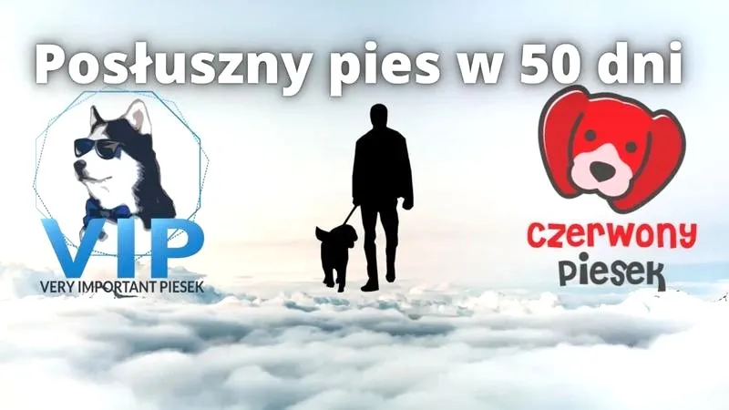 Jak skutecznie nauczyć psa posłuszeństwa – poradnik w formacie PDF do pobrania na Chomikuj