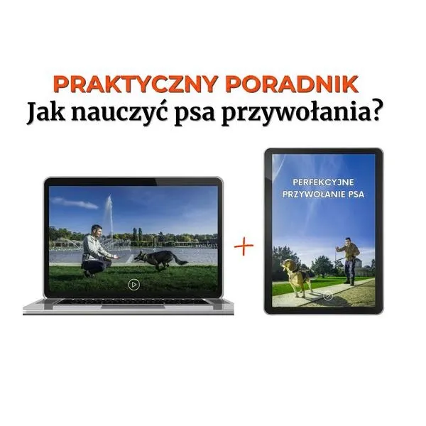 Jak skutecznie odwołać psa bez stresu i krzyku