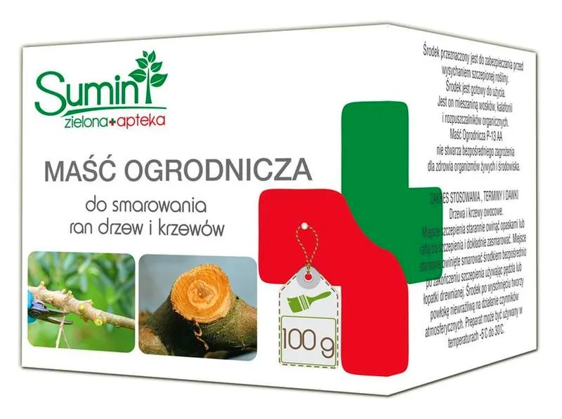Jak skutecznie smarować rany u kota, by przyspieszyć ich gojenie?