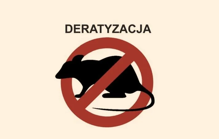 Jak skutecznie walczyć ze szczurami? Sprawdzone metody i profilaktyka
