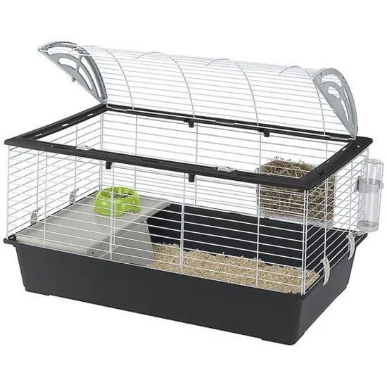 Jak stworzyć idealną klatkę dla królika na dwór? Praktyczny przewodnik krok po kroku