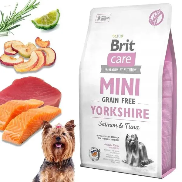 Jak wybrać najlepszą karmę dla yorka, aby zapewnić mu zdrowie i radość?