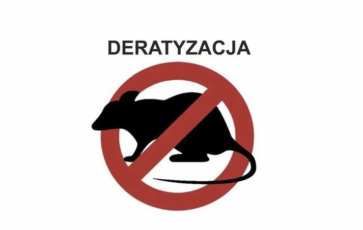 Jak wytępić szczura z mieszkania: praktyczny przewodnik krok po kroku