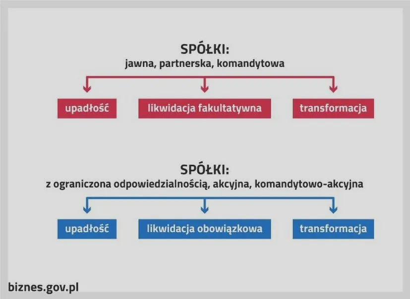 Jak zlikwidować spółkę z o.o.: praktyczny poradnik krok po kroku