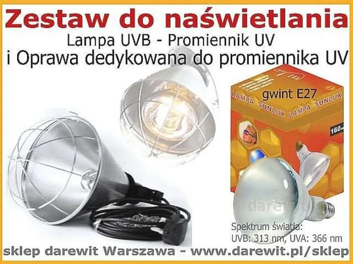 Jaka żarówka UVB dla żółwia greckiego? Dobierz właściwą moc