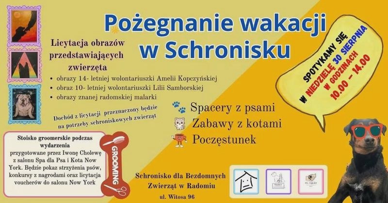 Kto da mniej: zwierzęta – niezwykłe licytacje i ich historie
