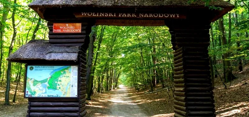 Odkryj fascynujący świat zwierząt w Wolińskim Parku Narodowym