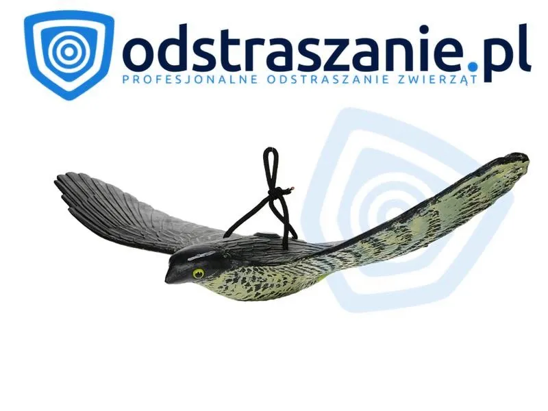 Skuteczne metody na to, czym odstraszyć ptaki z czereśni w ogrodzie