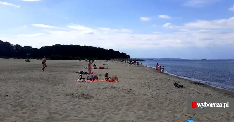 Westerplatte: Czy można zwiedzać z psem?