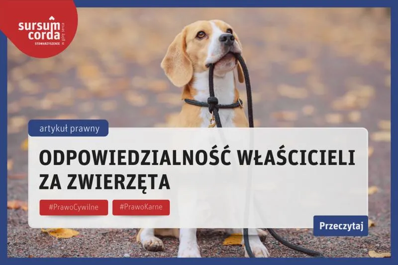 Adopcja psa