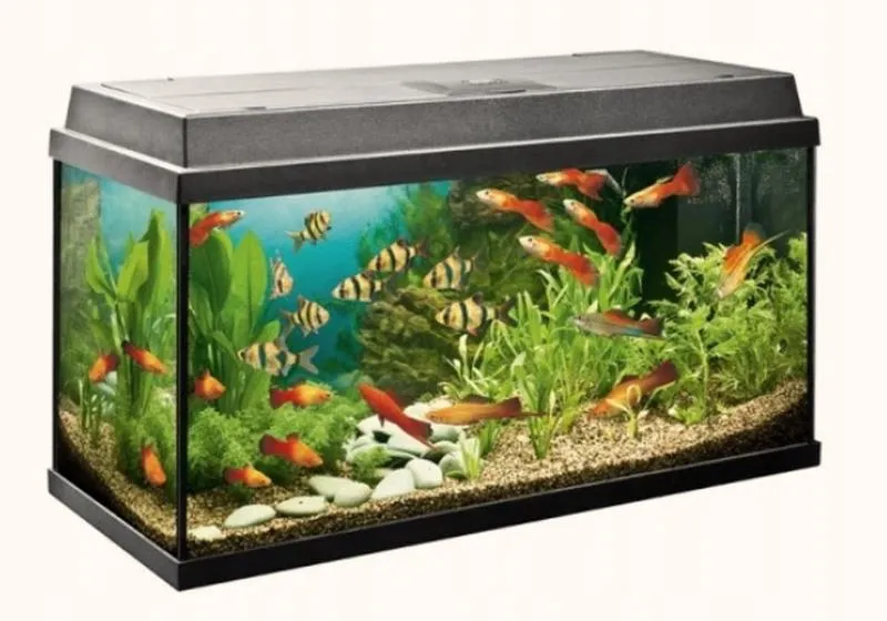 Akwarium 200l