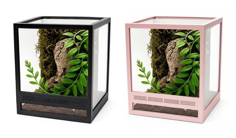 Aranżacja terrarium