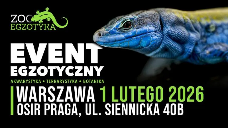 Atrakcje zoologiczne Warszawa