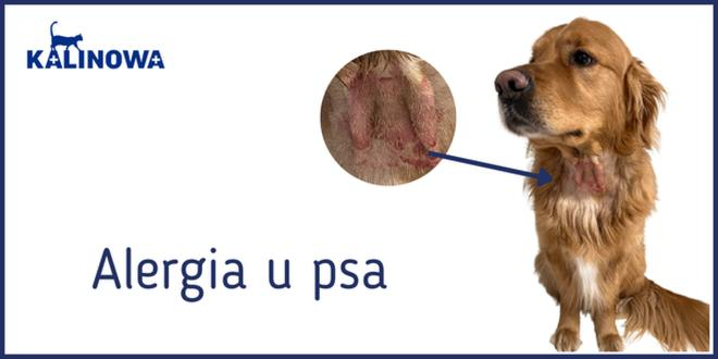 Bezpieczne leczenie alergii