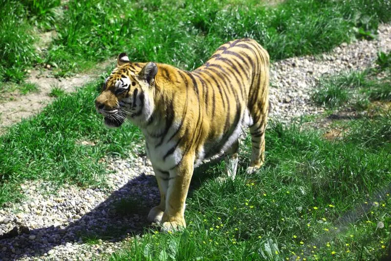 Ceny biletów do zoo