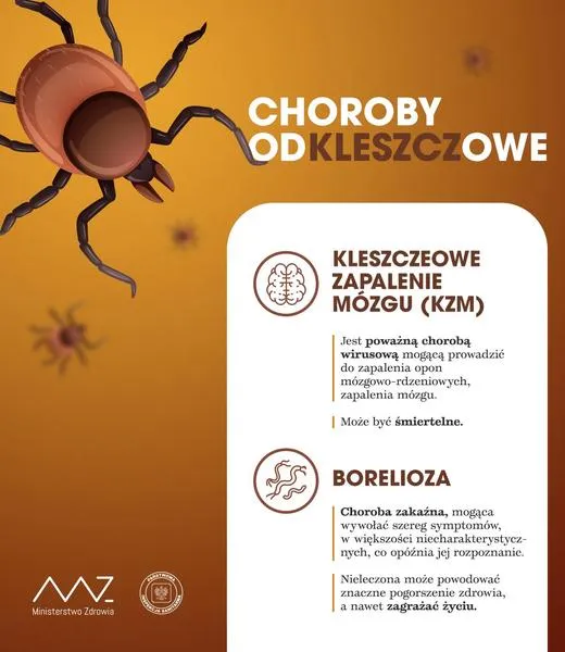 Choroby odkleszczowe u psów
