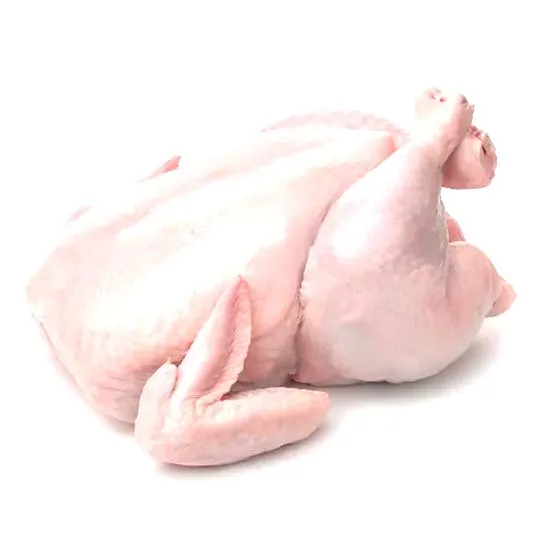 Dieta psów