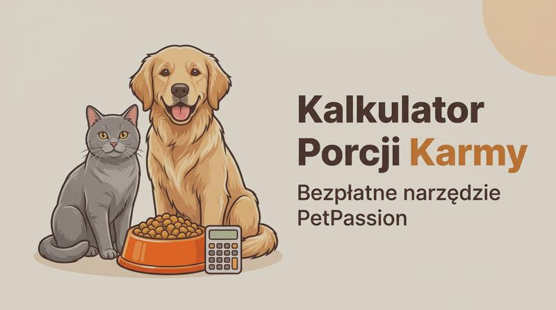 Dzienna porcja karmy dla psa
