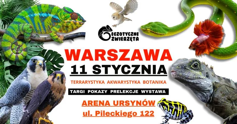 Egzotyczne gatunki zwierząt
