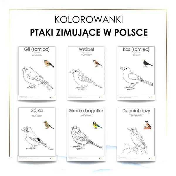 Ekosystem zimą