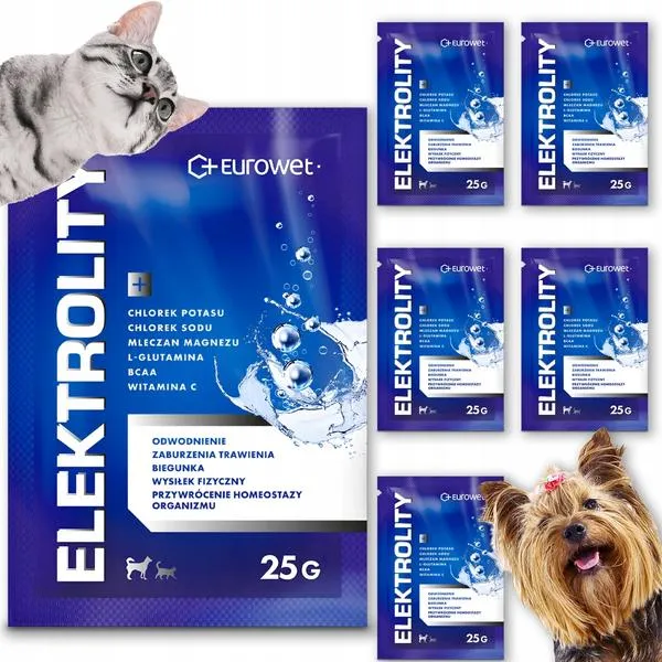 Elektrolity dla psów