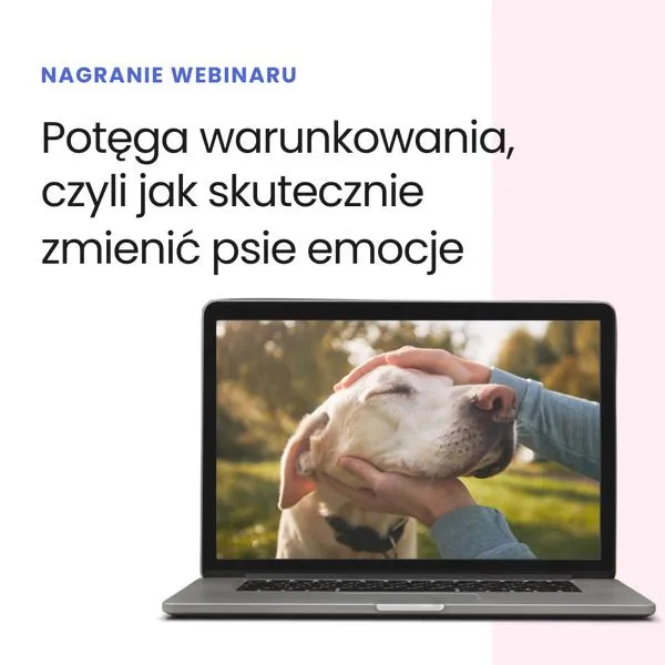 Emocje psów