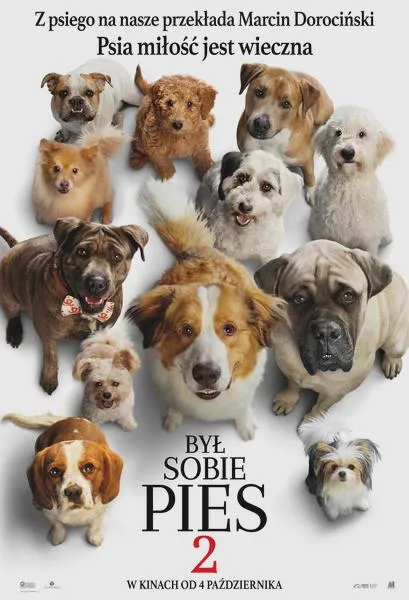 Fabula filmu Był sobie pies 2