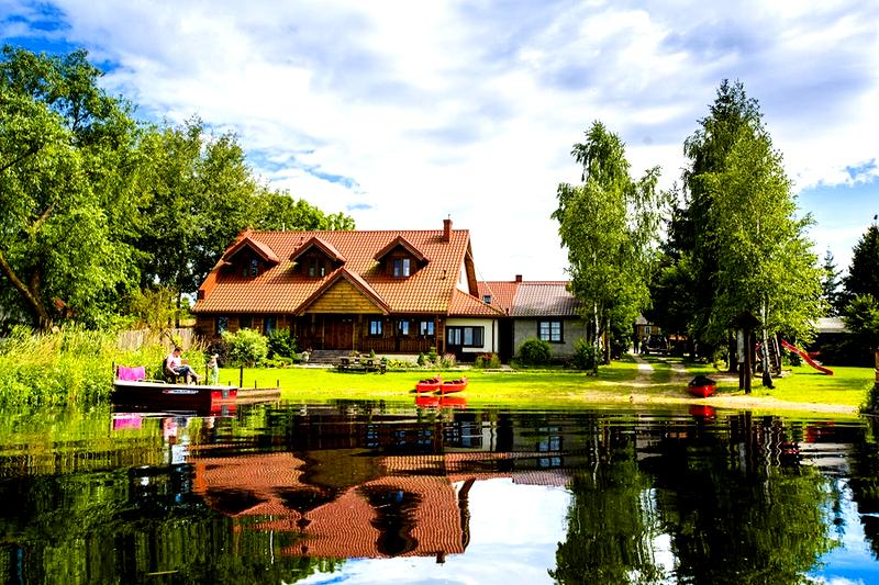 Gatunki ptaków