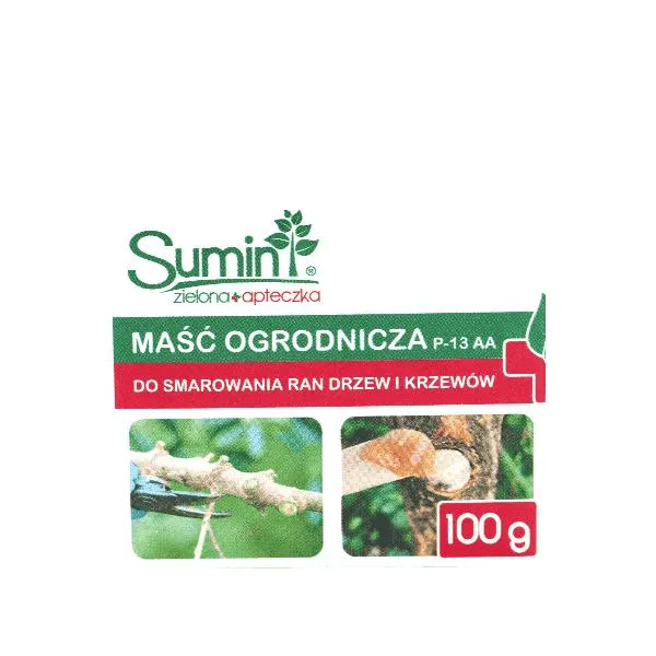 Gojenie ran u kotów