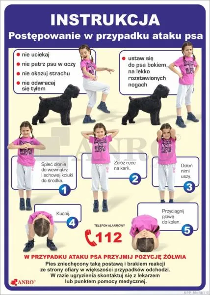 Gryzienie u psów