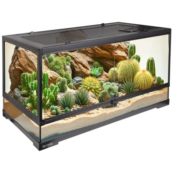 Hodowla zwierząt w terrarium