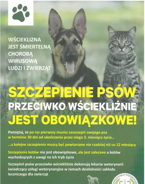 Informacje dla właścicieli psów