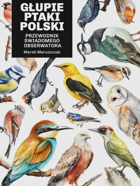 Informacje o ptakach w Polsce