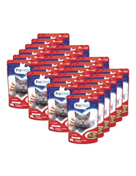 Kocia karma dla psów