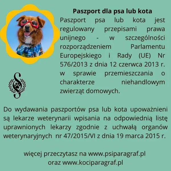 Koszty paszportu dla psa