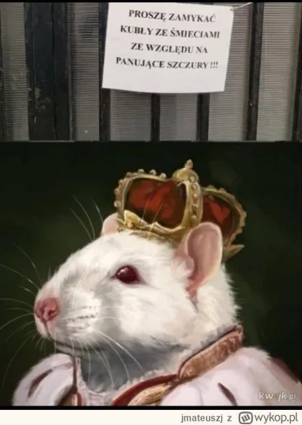 Kultura językowa na XTB