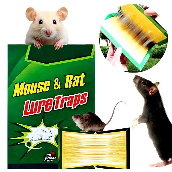 Naturalne rośliny przeciw szczurami