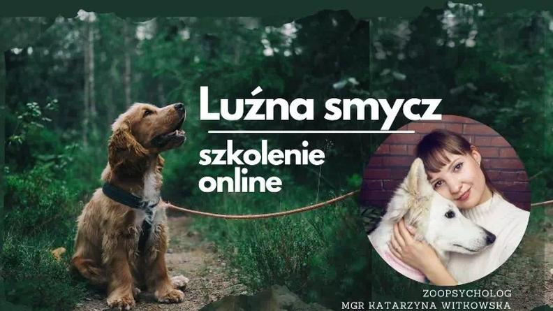 Nauka chodzenia na luźnej smyczy