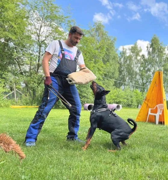 Nauka podstawowych komend