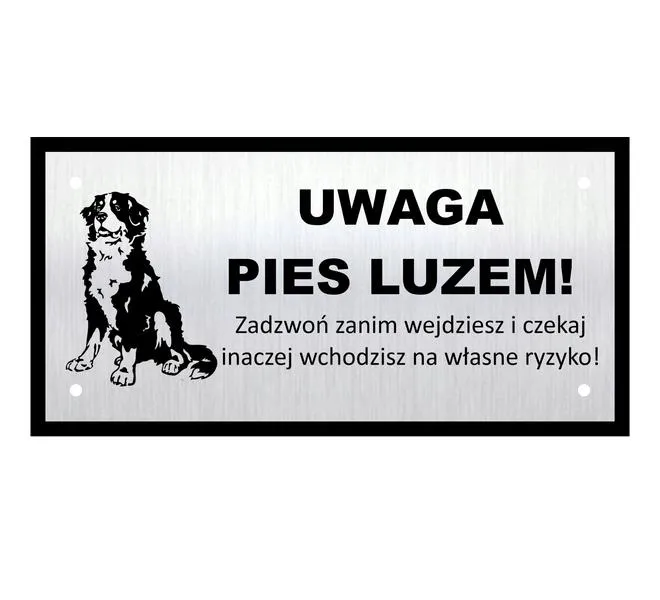 Nauka przywołania psa