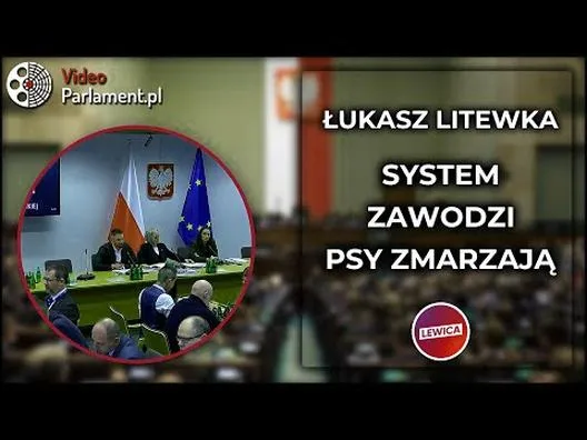 Nauka psa z YouTube