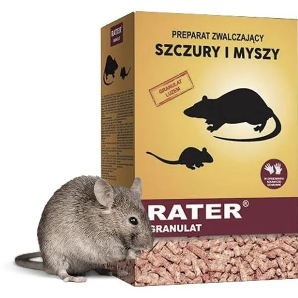 Objawy zatrucia psa