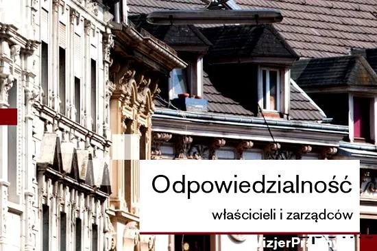 Odpowiedzialność właścicieli zwierząt