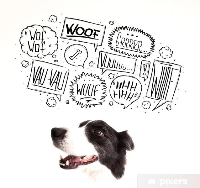 Onomatopea szczekania psów